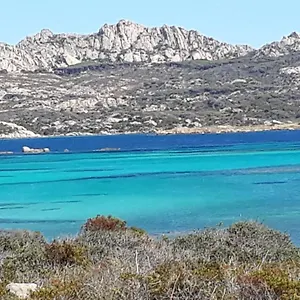 L'asfodelo La Maddalena (Sassari)
